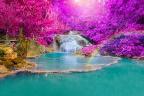 Фотообои Водопад под розовыми деревьями