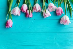 Фотообои тюльпаны