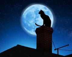 Фреска Кот на крыше под луной