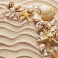 Фреска морской песок и ракушки