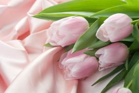 Фреска Розовые тюльпаны