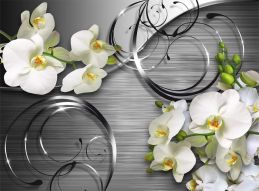 Фотообои 3д Белые орхидеи