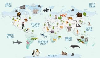 Фотообои Карта с животными
