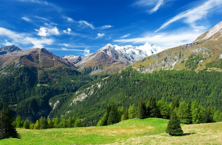 Картина на холсте Альпийские луга, арт hd0233001