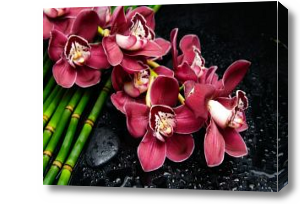 Картина Ветка орхидеи и бамбук