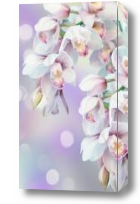 Картина орхидеи