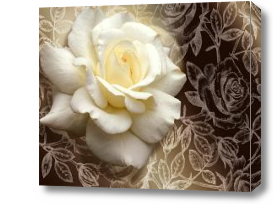 Картина 3д Белая роза